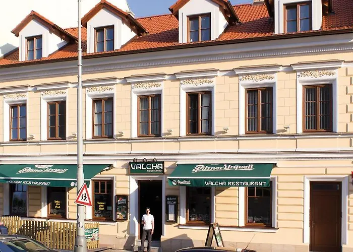 Valcha